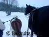 Bashults Gård