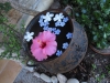 In My Garden B&B