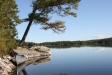 Hällefors Vandrarhem Älghornet