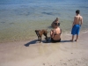 På ömse sidor om den långa sandstranden finns hundbaden. Hunden kan vara med på samma strand.