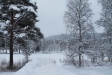Dalen