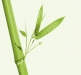 Grön Bambu