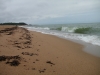 Stranden vid Tobisvik. Grovkorning sand som slipade fötterna:-) Fanns fina stenar vid strandkanten.