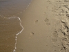 Fotspår i sanden