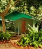 Bild från Jungle Lodge