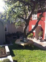 Bild från Granna Lust